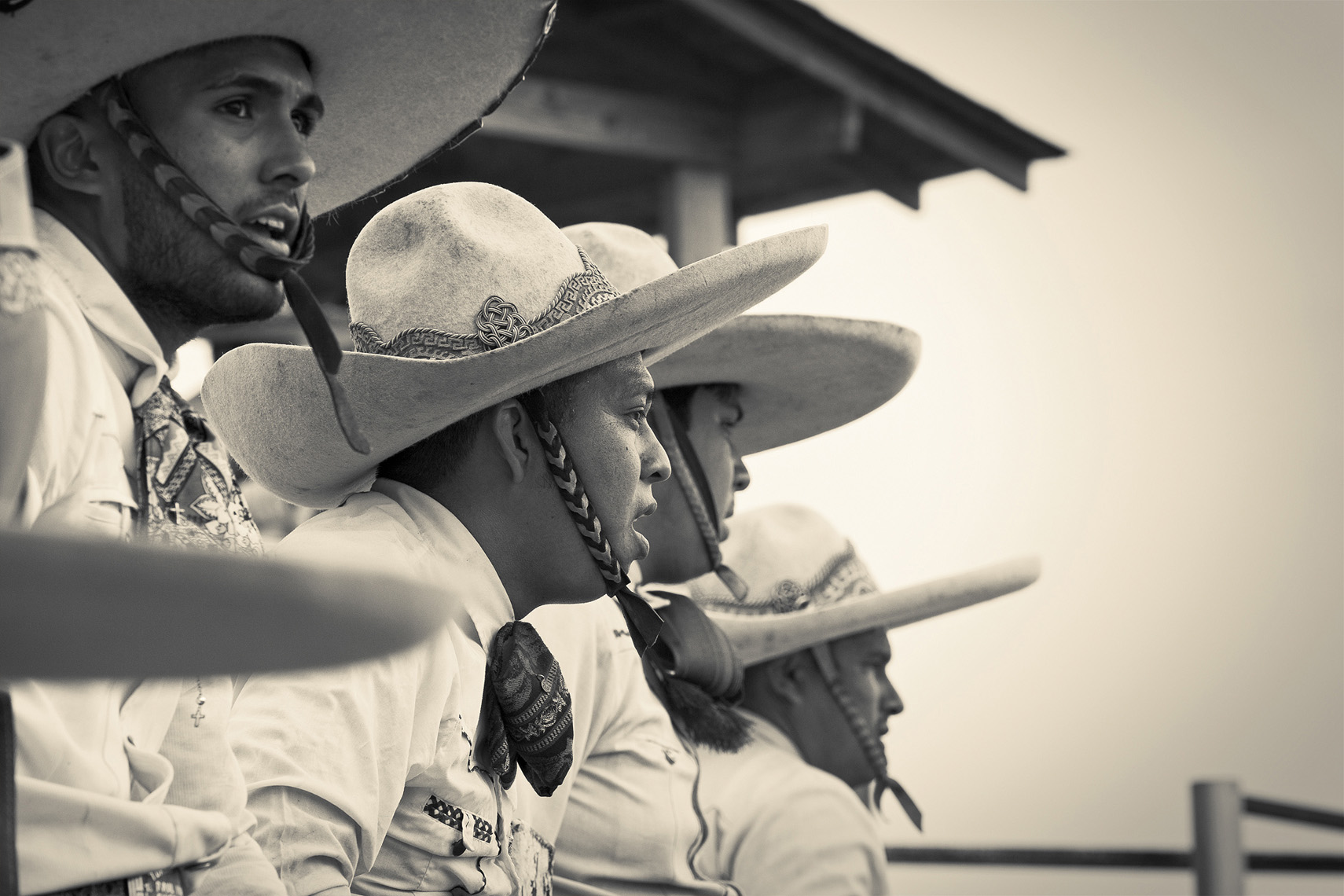 Charreada Series